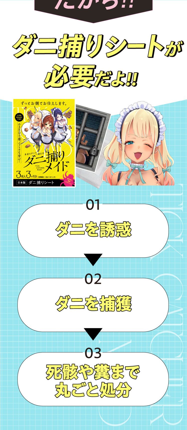 ダニ捕りシートが必要です!!