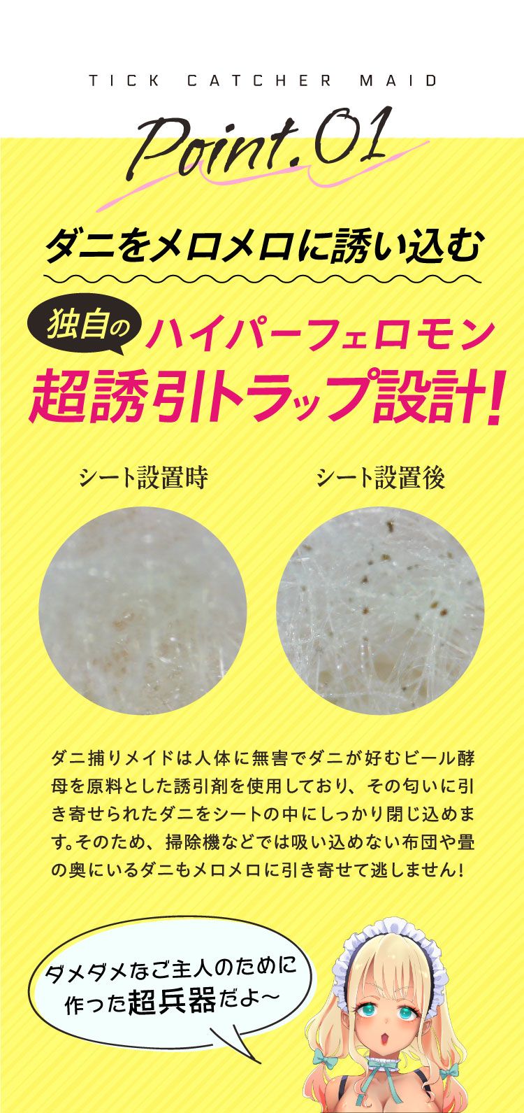 POINT01
