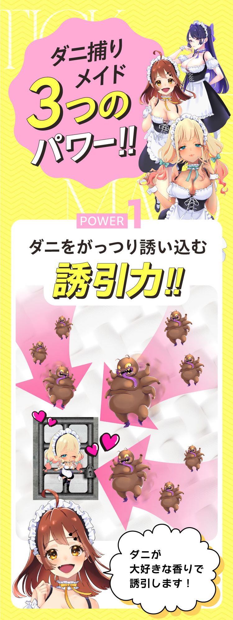 ダニ捕りメイドの3つの秘訣
